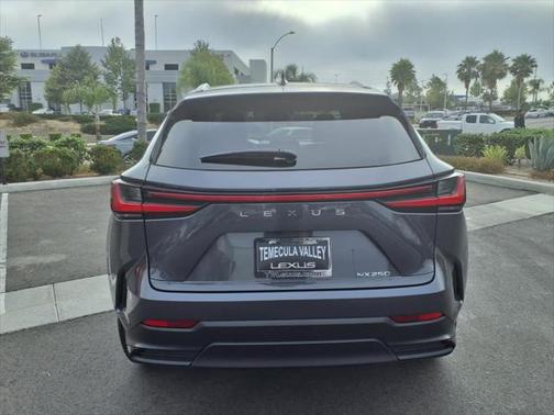 2025 Lexus NX 250 Base