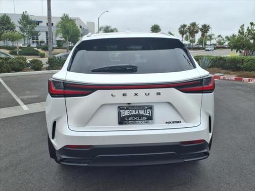 2025 Lexus NX 250 Base