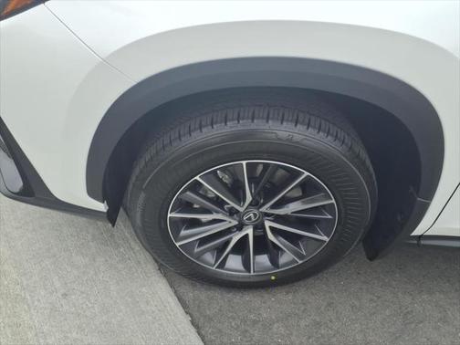 2025 Lexus NX 250 Base