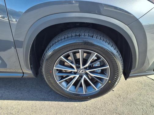 2025 Lexus NX 250 Base
