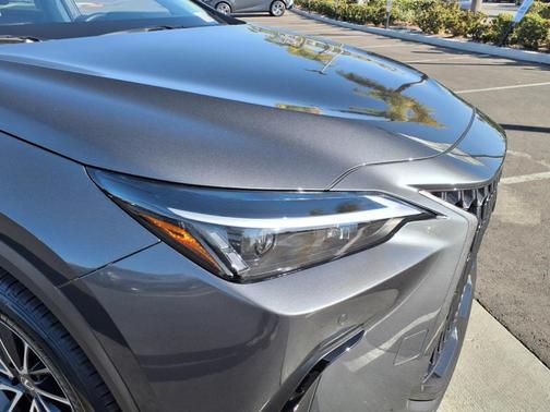 2025 Lexus NX 250 Base