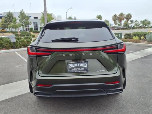 2025 Lexus NX 250 Base