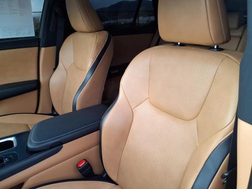2024 Lexus RZ 300e 300E