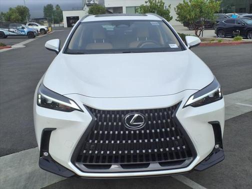 2025 Lexus NX 350h Premium