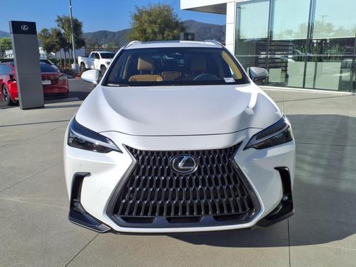 2025 Lexus NX 250 Base