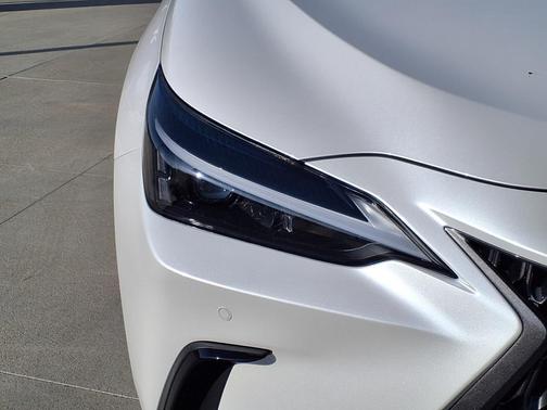2025 Lexus NX 250 Base