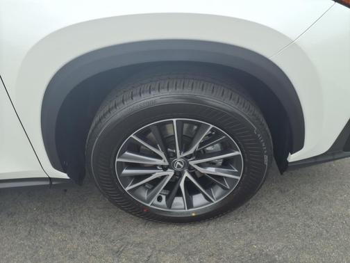 2025 Lexus NX 250 Premium