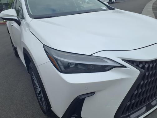 2025 Lexus NX 250 Premium