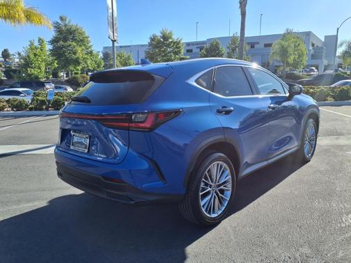 2025 Lexus NX 350h Luxury