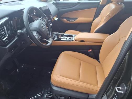 2025 Lexus NX 350h Premium
