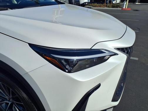 2025 Lexus NX 250 Base