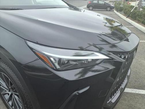 2025 Lexus NX 350h Premium