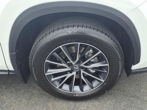 2025 Lexus NX 250 Premium