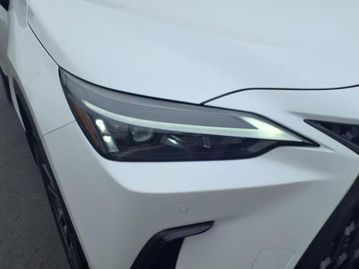2025 Lexus NX 250 Premium