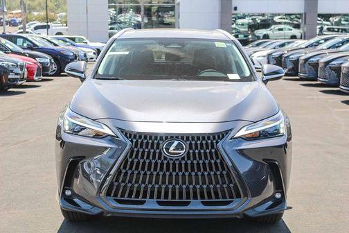 2025 Lexus NX 250 Base