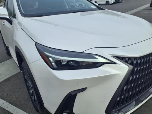 2025 Lexus NX 350h Premium
