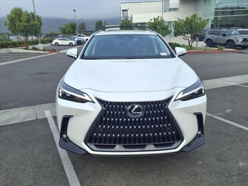 2025 Lexus NX 350h Premium