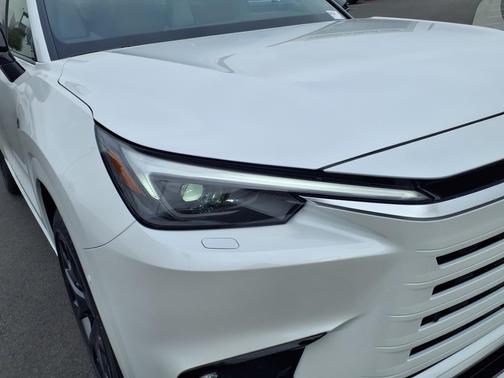 2025 Lexus TX 500h F SPORT Premium