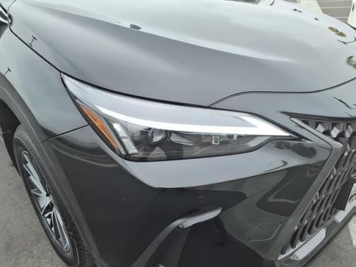 2025 Lexus NX 350h Premium