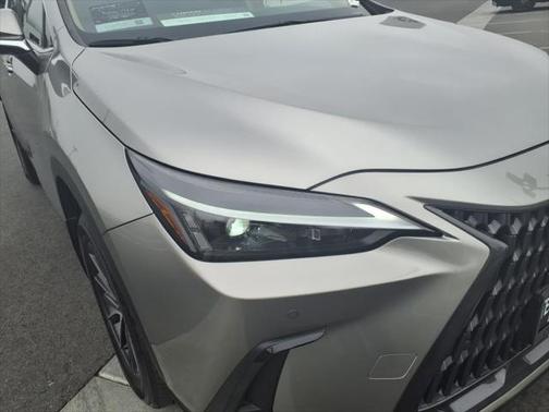 2025 Lexus NX 250 Premium