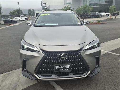 2025 Lexus NX 250 Premium