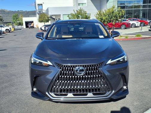 2025 Lexus NX 250 Premium