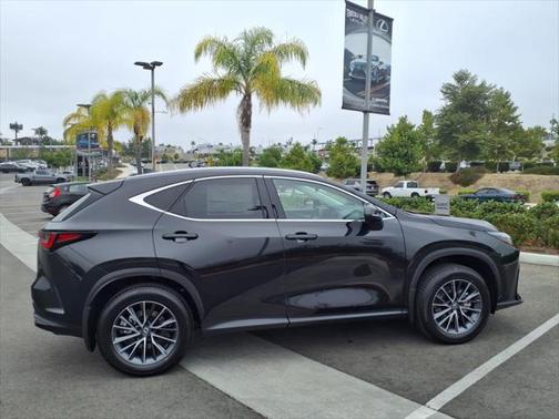 2025 Lexus NX 250 Base
