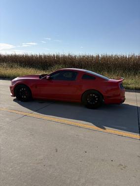 2014 Ford Shelby GT500 Base