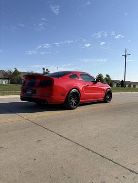2014 Ford Shelby GT500 Base