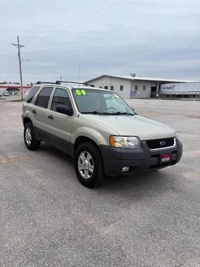 Gold Ash Clearcoat Metallic 2004 Ford Escape XLT