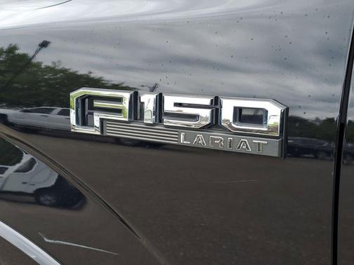 Agate Black 2019 Ford F-150 Limited
