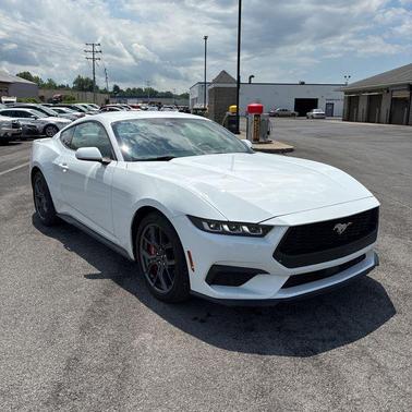 Oxford White 2024 Ford Mustang EcoBoost