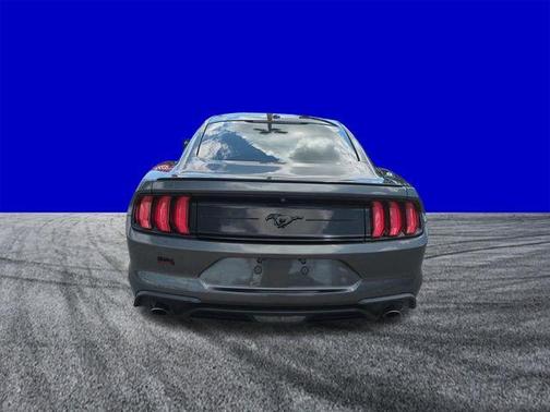 Magnetic Metallic 2019 Ford Mustang EcoBoost
