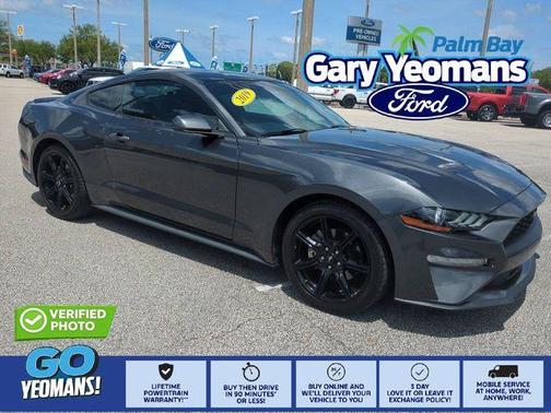 Magnetic Metallic 2019 Ford Mustang EcoBoost