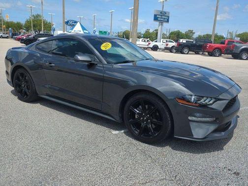 Magnetic Metallic 2019 Ford Mustang EcoBoost