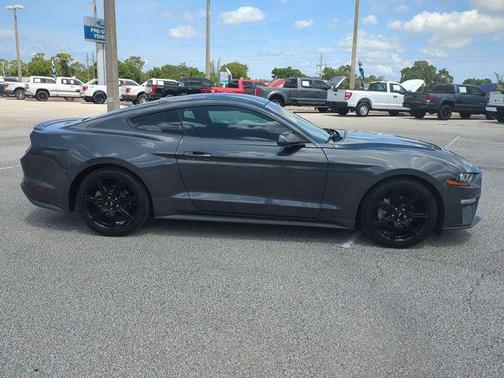 Magnetic Metallic 2019 Ford Mustang EcoBoost