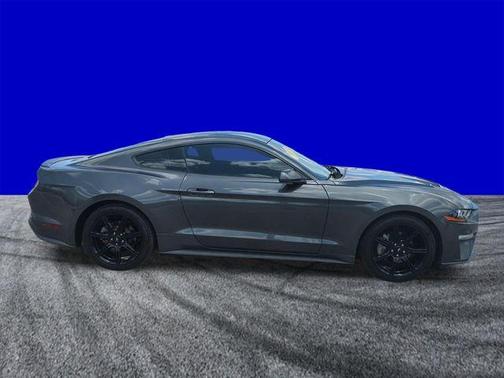 Magnetic Metallic 2019 Ford Mustang EcoBoost