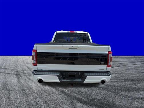 Star White 2023 Ford F-150 Platinum