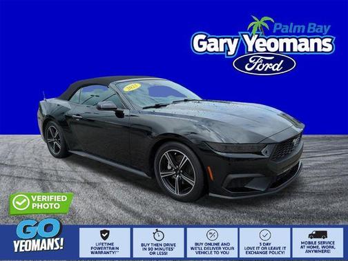 Shadow Black 2025 Ford Mustang EcoBoost