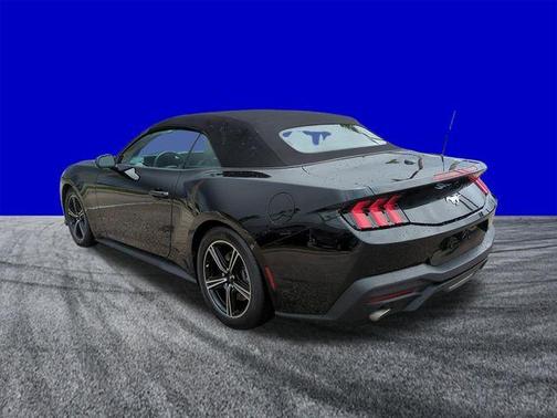 Shadow Black 2025 Ford Mustang EcoBoost