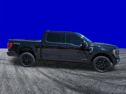 Black Metallic 2023 Ford F-150 Platinum