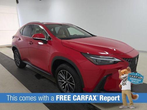 2024 Lexus NX 250 Premium