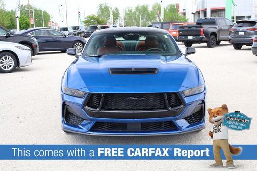 Blue Metallic 2024 Ford Mustang GT Premium