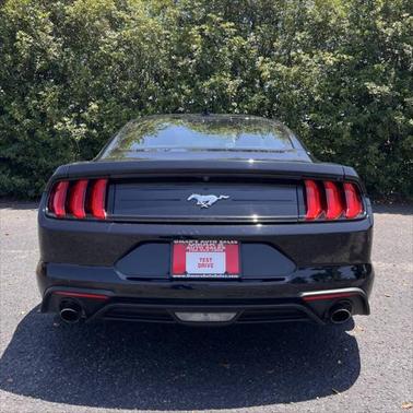 2022 Ford Mustang EcoBoost