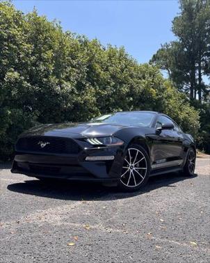 2022 Ford Mustang EcoBoost