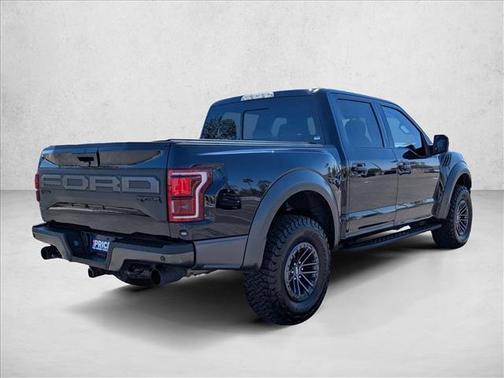 Agate Black Metallic 2019 Ford F-150 Raptor