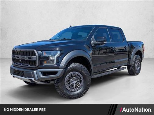 Agate Black Metallic 2019 Ford F-150 Raptor