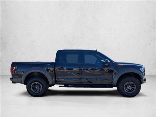 Agate Black Metallic 2019 Ford F-150 Raptor