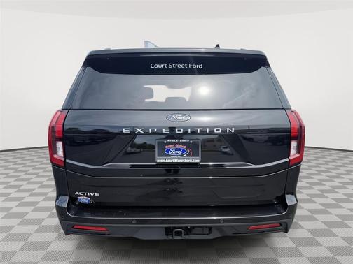 Agate Black 2025 Ford Expedition Active