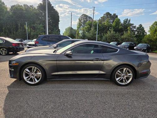 Magnetic 2019 Ford Mustang EcoBoost Premium